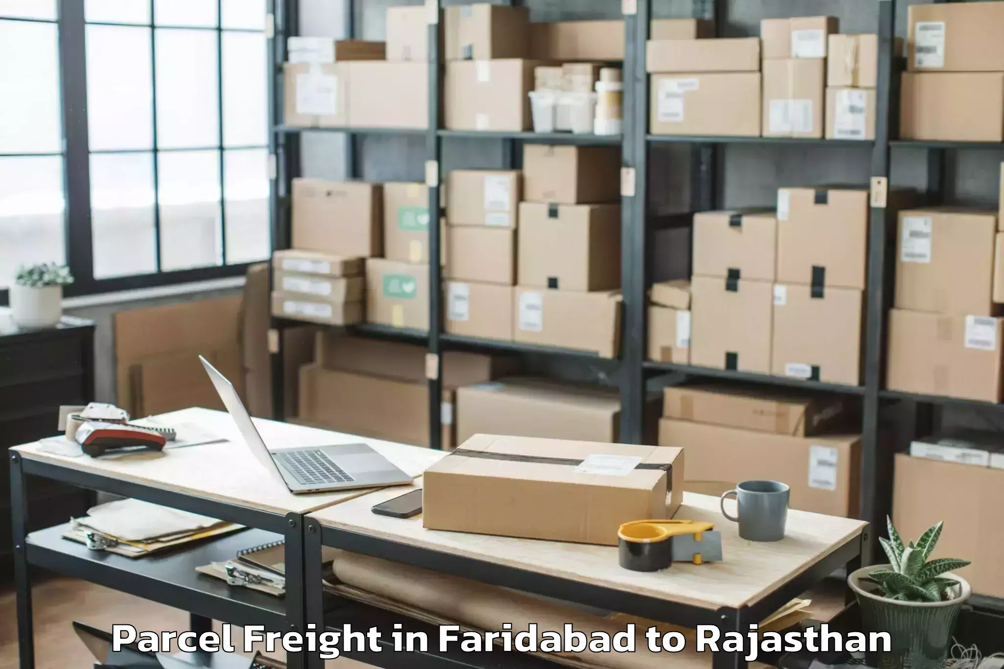 Discover Faridabad to Mavli Parcel Freight